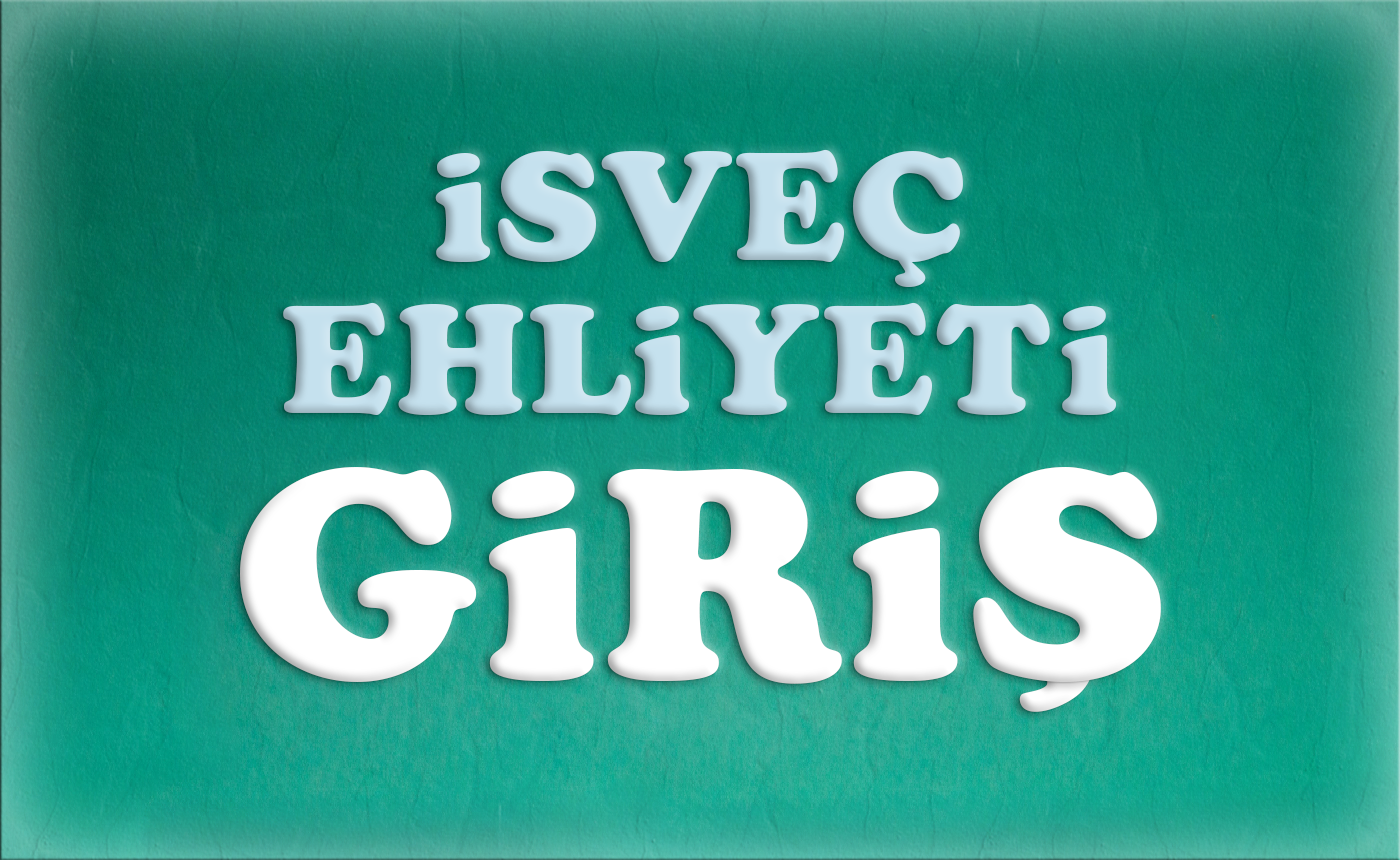 Ehliyete Giriş